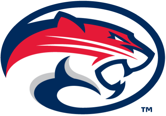 Houston Cougars 2012-Pres Secondary Logo diy iron on heat transfer